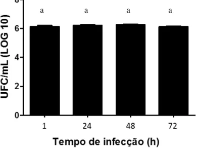 Figura 8: Cinética de infecção de Clostridium chauvoei na forma esporulada em macrófagos da  linhagem RAW 264.7