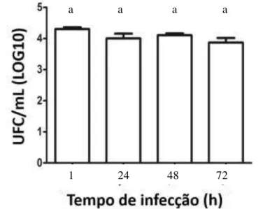 Figura  12:  Avaliação  da  sobrevivência  de  Clostridium  chauvoei  na  forma  vegetativa  após  a  internalização por macrófagos bovinos nos diferentes tempos de infecção