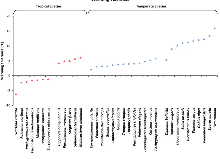 Fig. 4 – Warming tolerance (Critical Thermal Maximum – Maximum Habitat Temperature) of each species in the present study