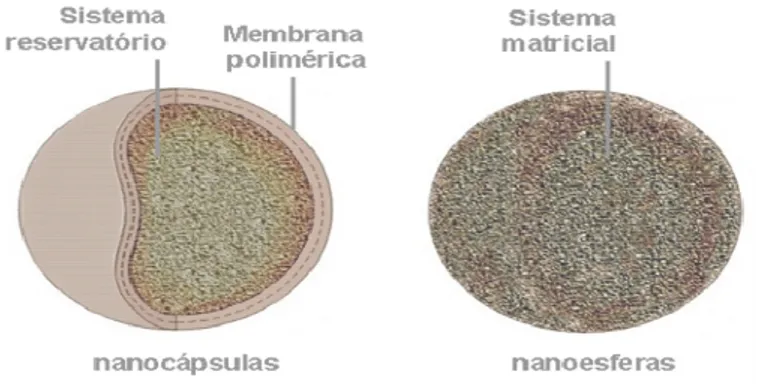 Figura  2.  Ilustração  das  nanopartículas  segundo  sua  organização  estrutural  em nanocápsulas e nanoesferas