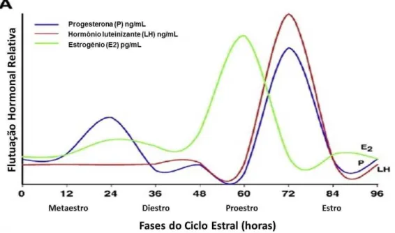 Figura  1  Oscilações  hormonais  durante  o  ciclo  estral,  considerando  uma  rata  de  4  dias  (96  horas)