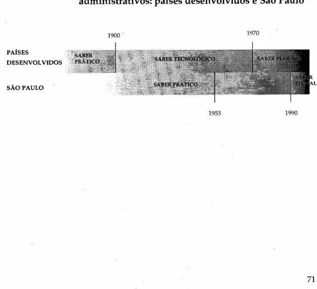 Figura 2. Cronologia do desenvolvimento dos saberes