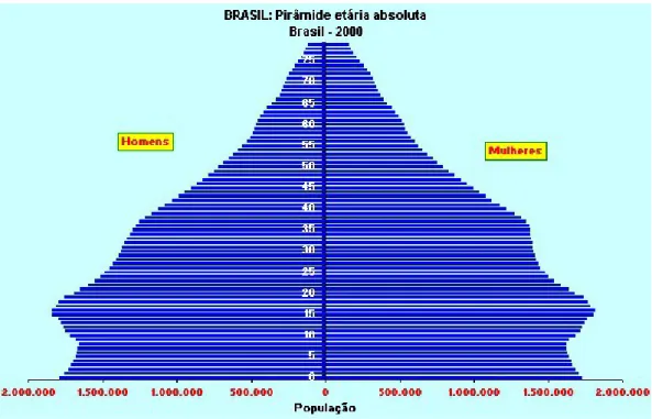 Figura 6  – População Brasileira no ano de 2000