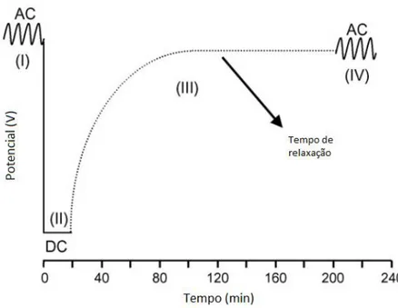 Figura 10. Ciclo de polarização catódica num substrato  metálico revestido em contacto com eletrólito de NaCl: 