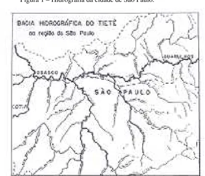 Figura 1 – Hidrografia da cidade de São Paulo. 