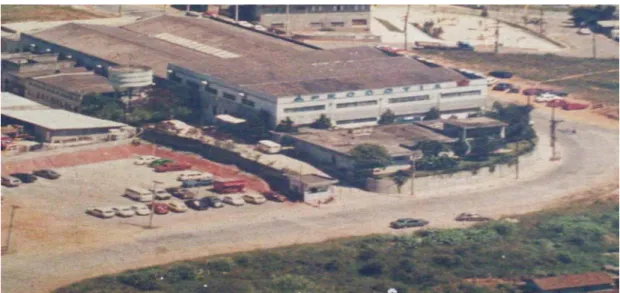 Foto 5 -  Cooperativa Agrícola de Cotia, 1985. 