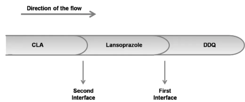 Fig. 2. Schematic presentation of the two interfaces formed in the determination of lansoprazole.