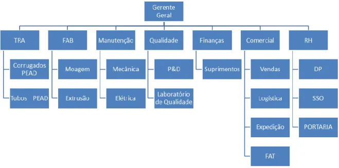 Figura 5: Organograma da Empresa Estudada. 