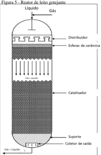 Figura 5 - Reator de leito gotejante 