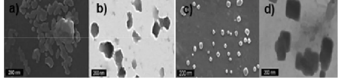 Figura  6:  Micrografias  de  nanocristais  de  amido  submetidos  à  hidrólise  com  ácido  sulfúrico (3,16 M/ 5 dias), com amidos de diferentes origens: a) milho; b) milho com  alto teor de amilopectina; c) batata e d) trigo