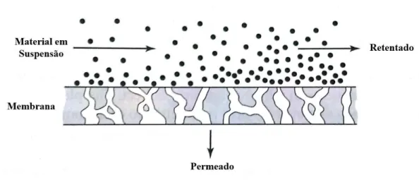 Figura 6  –  Funcionamento de uma membrana em fluxo tangencial. 