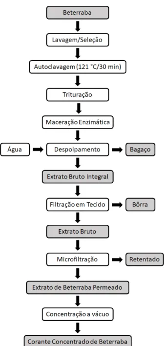 Figura  7  –  Fluxograma  do  processo  de  obtenção  de  corante  concentrado  de  beterraba por uso associado de microfiltração tangencial e concentração a vácuo