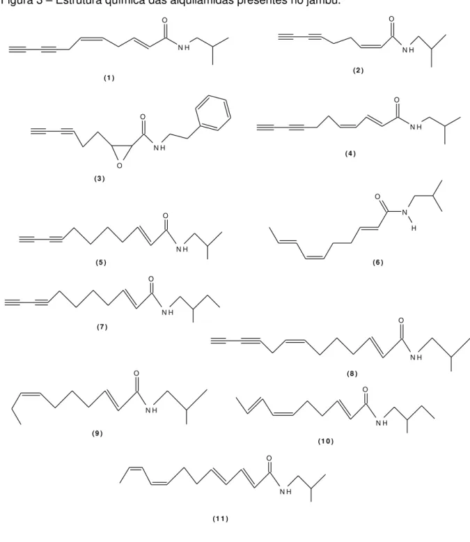 Figura 3 – Estrutura química das alquilamidas presentes no jambu.  O N H N HO (2 ) O N HO (3 ) O N H(4 ) (5 ) N HO (7 ) N HO (8 ) N HO (9 ) N HO (1 1 ) (1 0 ) N HON HO(1 ) N HO(6 )
