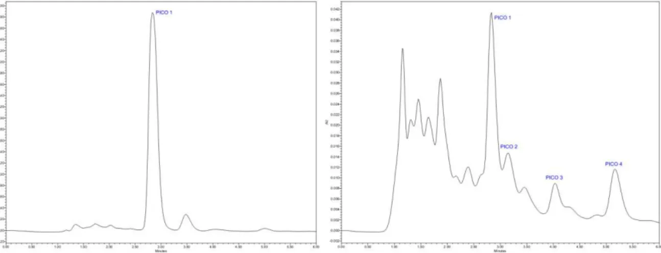 Figura 4  –  Cromatogramas resultantes da eluição isocrática de SAFHEC com água ultrapura/metanol  HPLC 80% em 230 nm ( à esquerda) e em 270 nm (à direita)