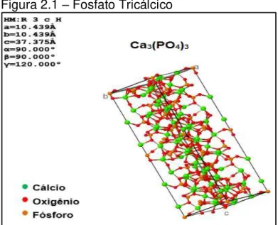 Figura 2.1  –  Fosfato Tricálcico 