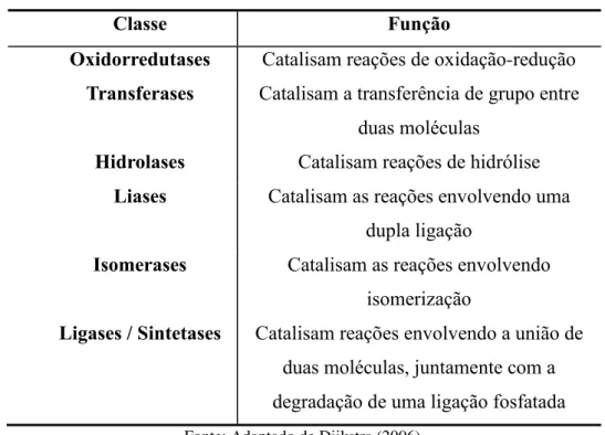 Tabela 1 – Classificação das enzimas 