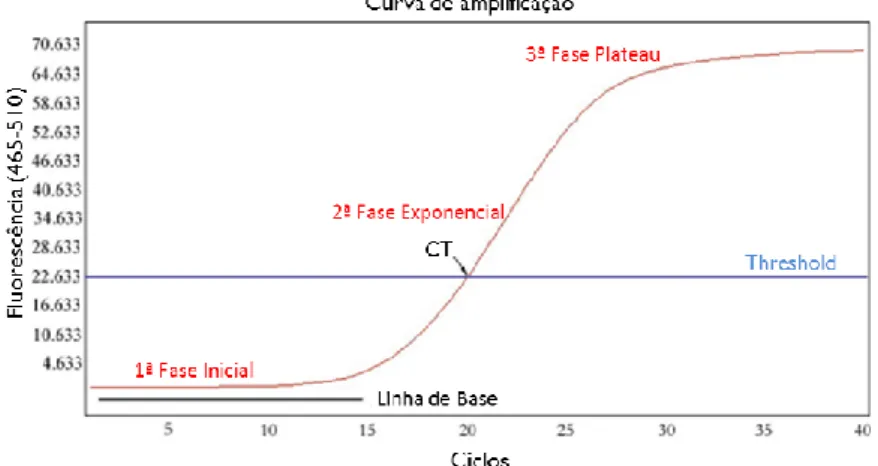 Figura 5: Curva de amplificação obtida por PCR em tempo real, demonstrando as diferentes fases  da reação (adaptado de Rodriguez-Lazaro &amp; Hernandez, 2013)