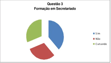 Gráfico 3  –  Escolaridade do Profissional de Secretariado 