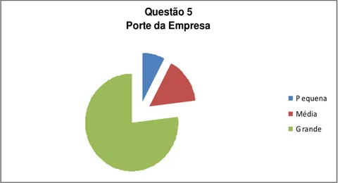Gráfico 5  –  Porte da Empresa 