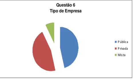 Gráfico 6  –  Tipo de Empresa 