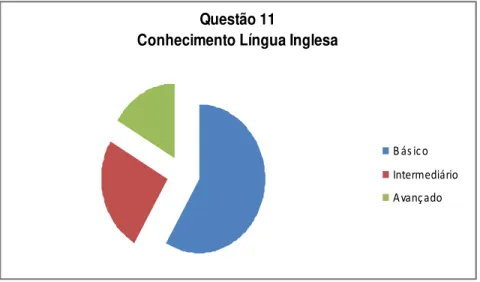 Gráfico 11  –  Conhecimento em Língua Inglesa