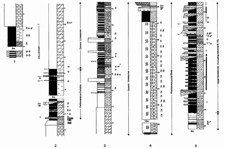 Fig. 3 - Lithological log of the Upper Jurassic sequence exposed along the coast southeast of Cabo Mondego