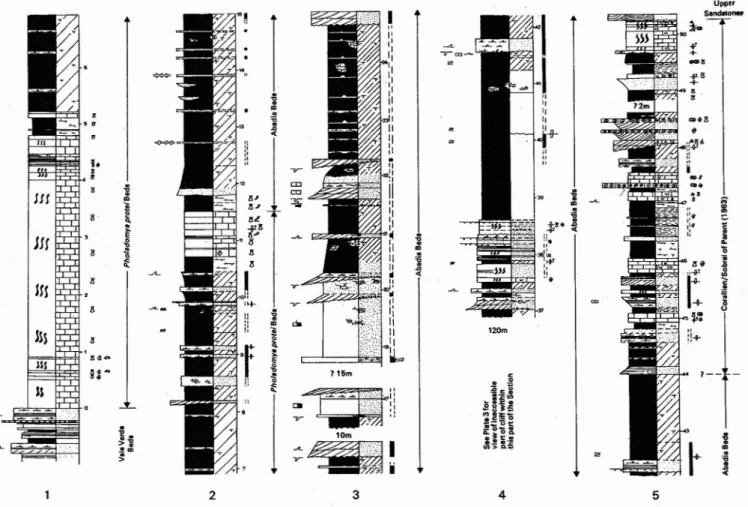 Fig. 4 - Lithological log of the Upper Jurassic sequence developed on the north west flank of the Caldas <la Rainha diapir and exposed on the cliffs from S