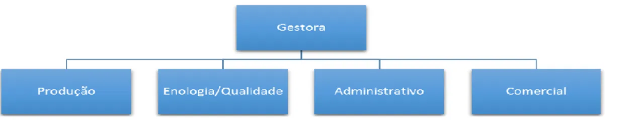 Figura 1- Organograma Hierárquico da Organização