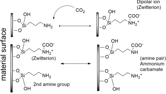 Figure 7 Reaction scheme between CO 2  and grafted amino groups 
