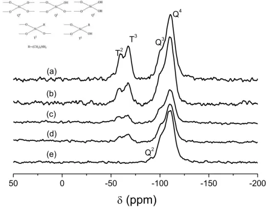 Figure 22   29 Si Chemical Shift to (a) MSG60 (b) MSG40 (c) MSG20 (d) MSG10 and (e) MSS samples.