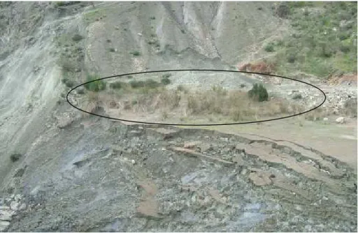 Figure 12. The remains of the dam slope and the wedge mud (at elevation 501 m asl). 