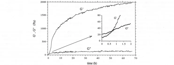 Fig. 1. Cure curve for a 1.1% HMP soljgel (pH 3, 60%(wjw) sucrose), recorded at 20°C and 0.5 Hz, showing the evolution of the storage (G') and the Ioss (G&#34;) moduli as a function ofthe ageing time.