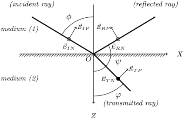 Figure 7. Elements of incident, reflection, and transmitted light rays. The indexes of the electrical field E denote the incident I, reflected R, and  trans-mitted T rays, together with the normal N and the parallel P components of the field