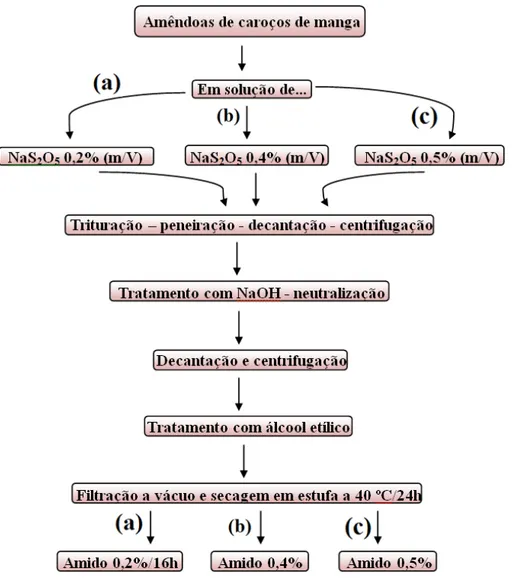 Figura  15  mostra  um  esquema  ilustrativo  para  a  extração  de  amido  de  manga  através  da  metodologia 2