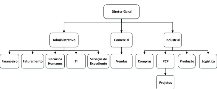 Figura 9 - Organograma da Empresa. 