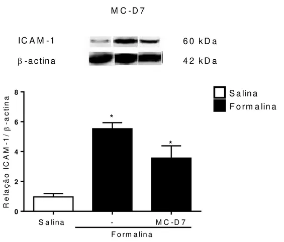 Figura 3 - Efeito de MC-D7 sobre as moléculas de adesão ICAM-1 (A) e CD55 (B)  no  tecido  periarticular  (TPA)  na  hipernocicepção  inflamatória  induzida  por  formalina 1,5% na  ATM de ratos
