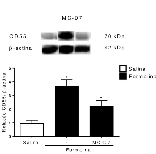 Figura 4 - Efeito de MC-D9 sobre as moléculas de adesão ICAM-1 (A) e CD55 (B)  no  tecido  periarticular  (TPA)  na  hipernocicepção  inflamatória  induzida  por  formalina na ATM de ratos
