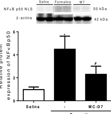 Figura  12  -  Efeito  de  MC-D7  e  MC-D9  sobre  o  fator  de  transcrição  NF- κβ   no  subnúcleo caudal (SC) na hipernocicepção inflamatória induzida por formalina  1,5 % na ATM de ratos