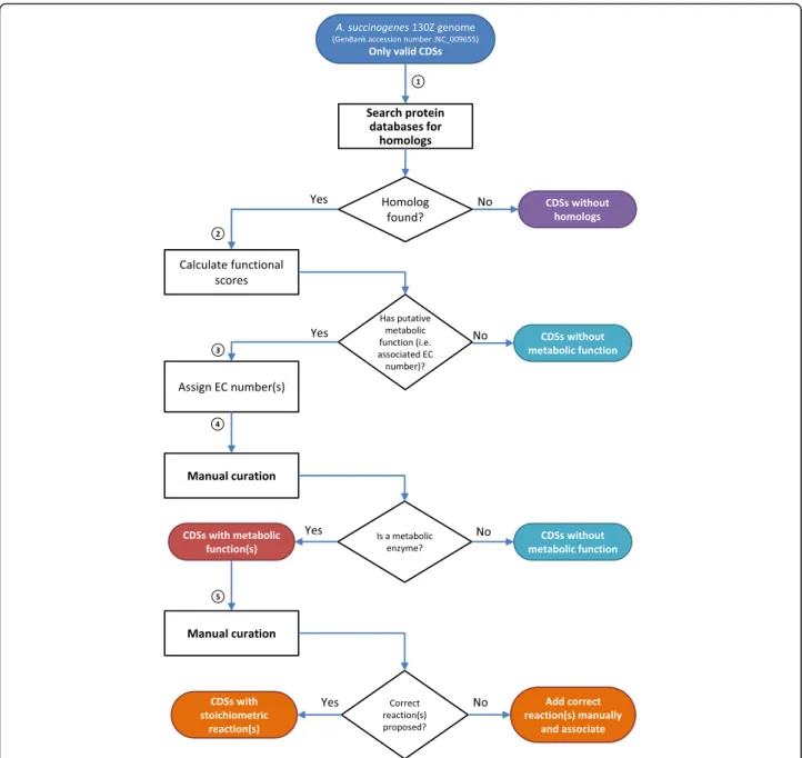 Fig. 1 Metabolic functional annotation of CDSs. The implemented framework uses an automated annotation tool coupled with manual curation procedures that allows the assignment of metabolic functions to CDSs of a particular genome