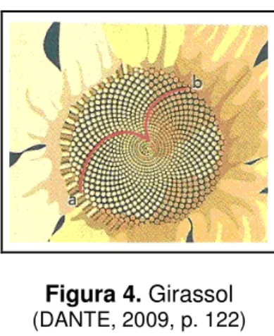 Figura 4. Girassol  (DANTE, 2009, p. 122) 