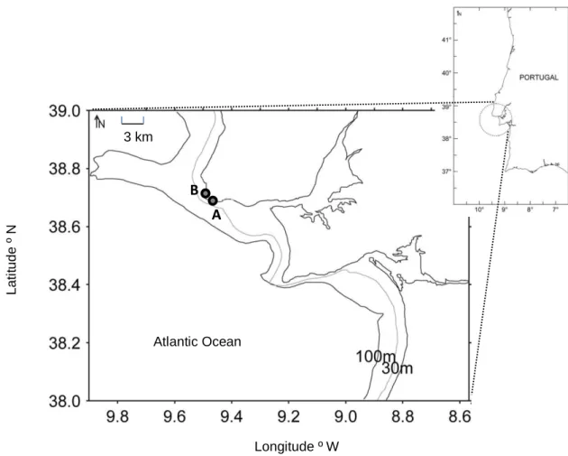 Fig. 1 – Location of the beaches (A and B) studied in the Portuguese coast. 