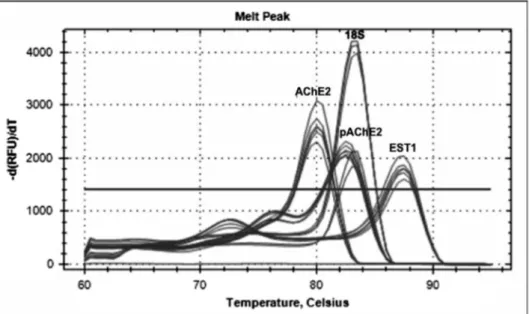 Fig. 2. Determination of real-time PCR eﬃciencies of 18S ribosomal RNA reference gene (A), putative acetylcholinesterase 2/pAChE2 (B), acetylcholinesterase 2/AChE2 (C), and esterase 1/EST1 (D) for Rhipicephalus microplus