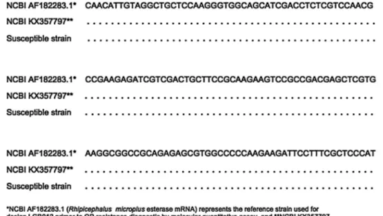 Fig. 5. Multiple sequence alignment of the transcripts sequences of esterase 1 (EST1) obtained with organophosphate (OP) resistant and susceptible Rhipicephalus microplus populations.