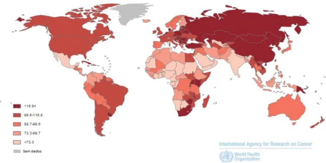 Figura 1: Mapa do mundo demonstrando a mortalidade devida ao cancro em ambos os  sexos [8]