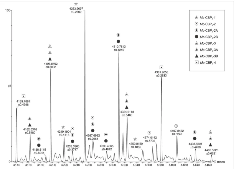 Figure 5. General scheme of a spectrum (mass spectrometric) demonstrating different masses corresponding to the small chain of Mo-CBP 3