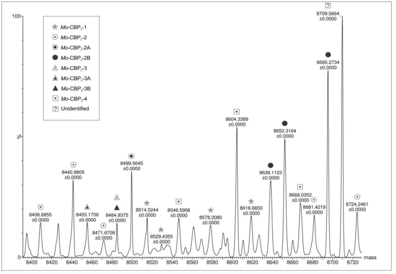 Figure  6.  General  scheme  of  a  spectrum  (mass  spectrometric)  demonstrating  different  masses  corresponding  to  the  small  chain  of  Mo-CBP 3