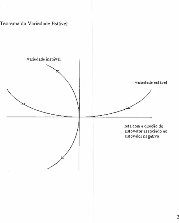 Fig. 3 - Teorema da Variedade Estável