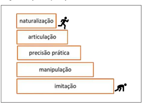 Figura 1- Representação esquemática da Taxonomia de Dave. 