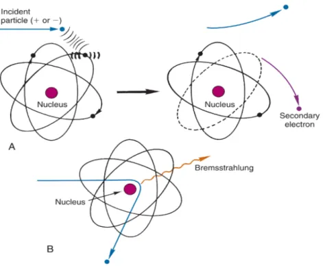 Figure 2.3: Interaction of charged particles with matter: (A) Ionisation; (B) Bremsstrahlung Production [10]