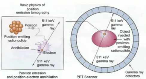 Figure 2.5: Representation of the basic biophysics of PET technology